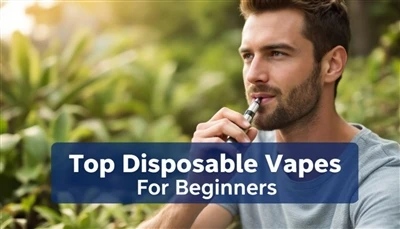 Top -Einweg -Vapes für Anfänger