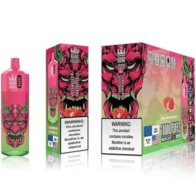 Wie funktioniert die Nikotinlieferung von Bang King Vape?