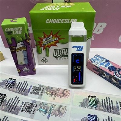 Hardware-Abbau: Leerer Vape von Choice Labs vs. vorgefüllter Geek Bar Pulse