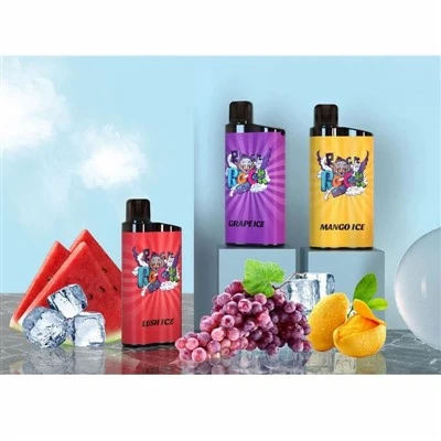 Iget Bar 3500 Puffs Einweg -Vape